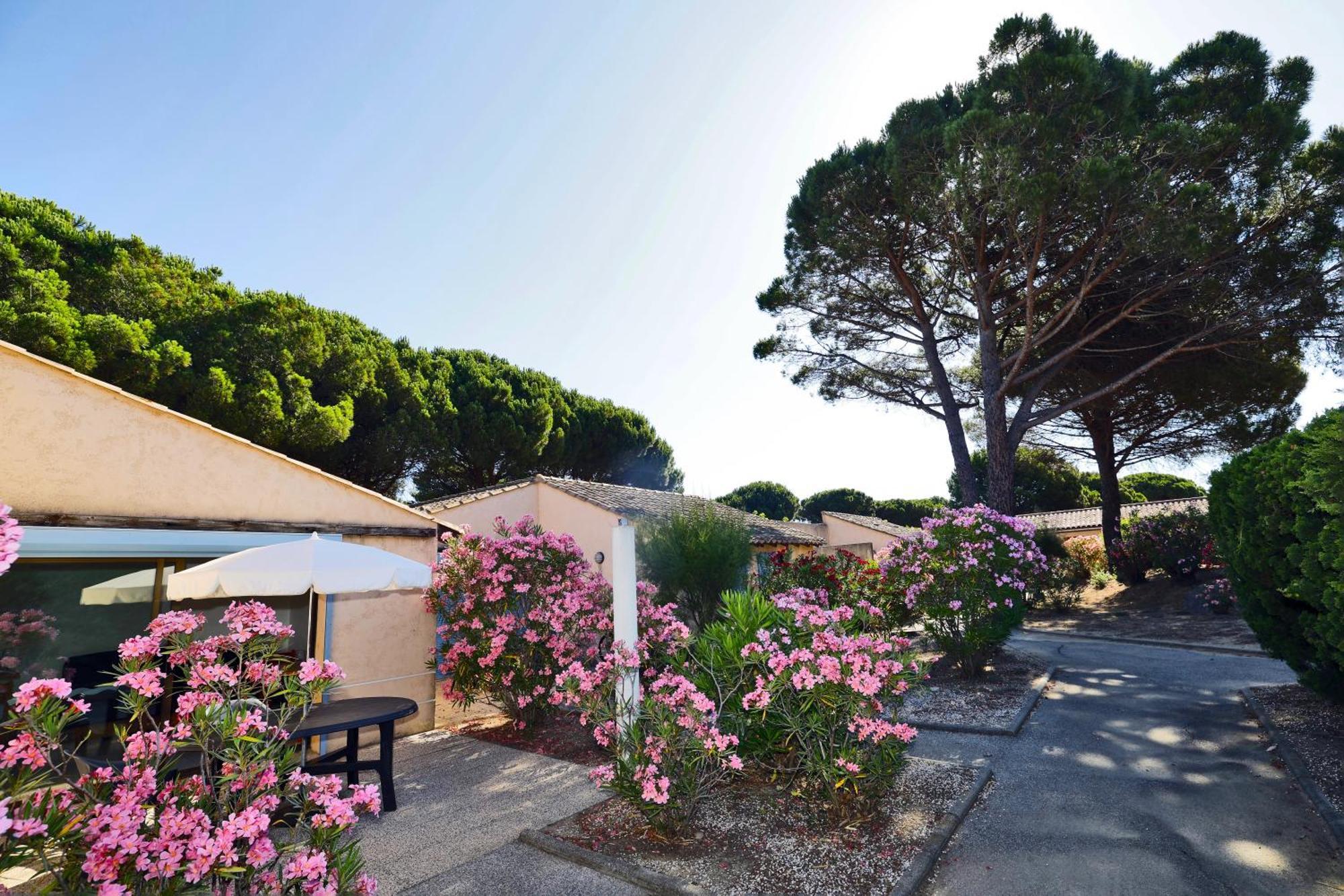 Village Vacances De Ramatuelle - Le Sentier Des Pins Kültér fotó