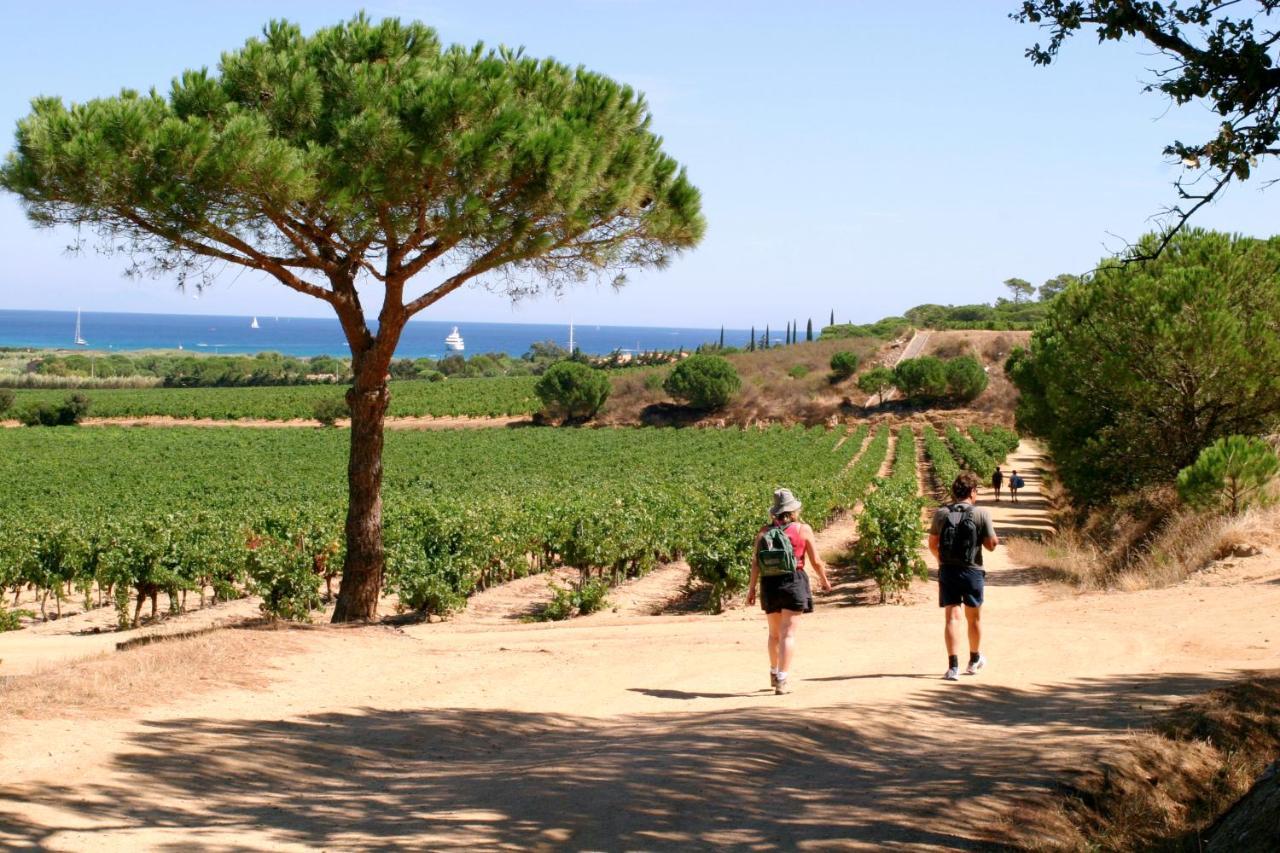 Village Vacances De Ramatuelle - Le Sentier Des Pins Kültér fotó
