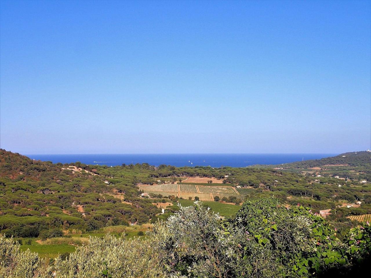 Village Vacances De Ramatuelle - Le Sentier Des Pins Kültér fotó